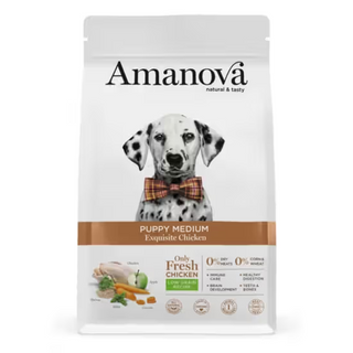 AMANOVA PUPPY MEDIUM FRANGO  & QUINOA