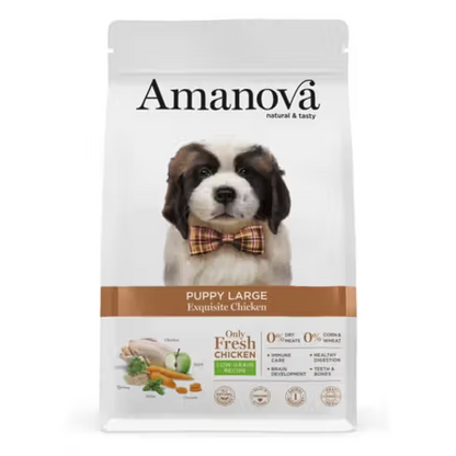 AMANOVA PUPPY LARGE FRANGO  & QUINOA