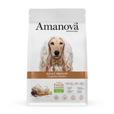 https://cdn.shopify.com/s/files/1/0916/7627/9129/files/1640034.01.png?v=1776094200