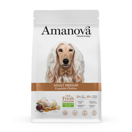 https://cdn.shopify.com/s/files/1/0916/7627/9129/files/1640035.01.png?v=1776094181