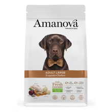 AMANOVA ADULT LARGE FRANGO  & QUINOA
