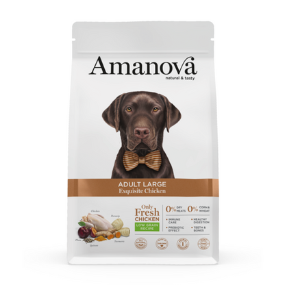 https://cdn.shopify.com/s/files/1/0916/7627/9129/files/1640036.01.png?v=1776094163