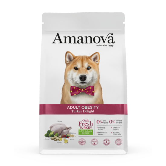 https://cdn.shopify.com/s/files/1/0916/7627/9129/files/1640040.01.png?v=1776094085
