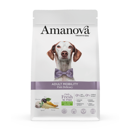 https://cdn.shopify.com/s/files/1/0916/7627/9129/files/1640042.01.png?v=1776094047