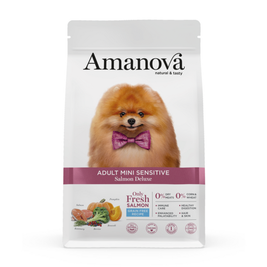 https://cdn.shopify.com/s/files/1/0916/7627/9129/files/1640046.01.png?v=1776093969