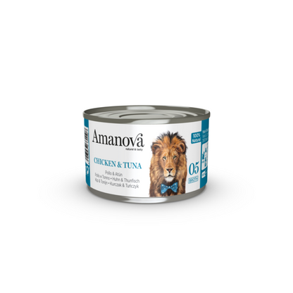 https://cdn.shopify.com/s/files/1/0916/7627/9129/files/1640067.01.png?v=1776095460