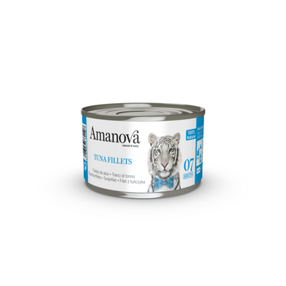 https://cdn.shopify.com/s/files/1/0916/7627/9129/files/1640069.01.png?v=1776095423