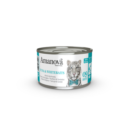 https://cdn.shopify.com/s/files/1/0916/7627/9129/files/1640071.01.png?v=1776095403