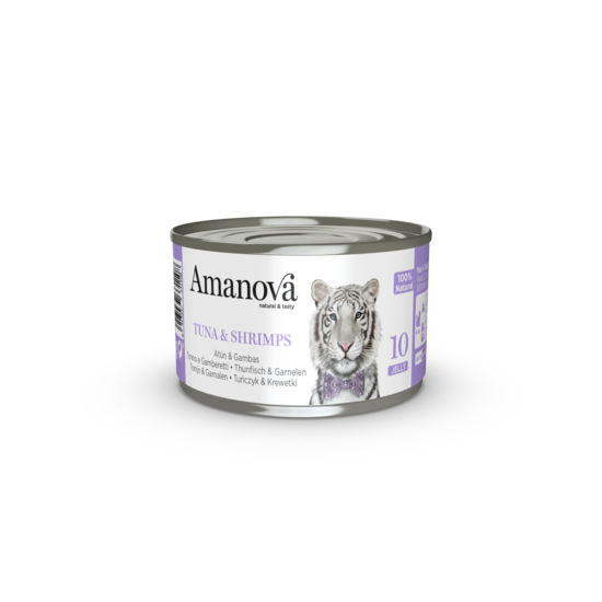 https://cdn.shopify.com/s/files/1/0916/7627/9129/files/1640072.01.png?v=1776095385