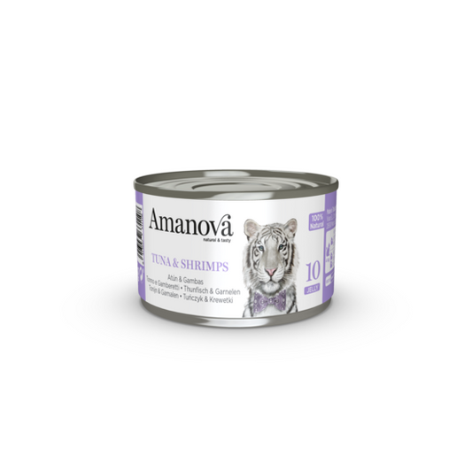 https://cdn.shopify.com/s/files/1/0916/7627/9129/files/1640072.01.png?v=1776095385