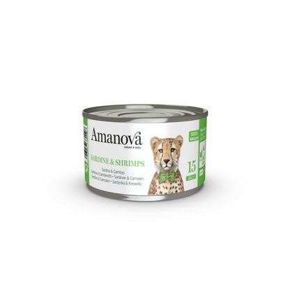 https://cdn.shopify.com/s/files/1/0916/7627/9129/files/1640077.01.png?v=1776095288