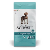 Schesir Cao Puppy Large Seco Frango