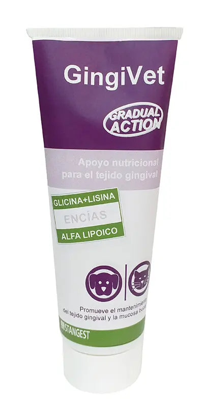 GINGIVET PASTA - Oral hygiene paste