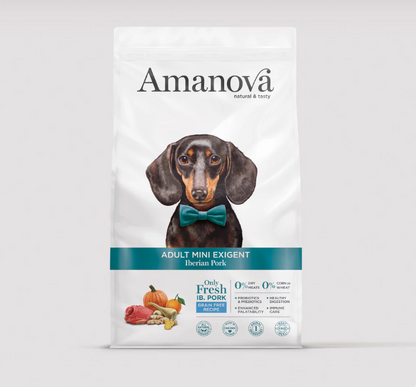 AMANOVA ADULT EXIGENT MINI IBERICO PORK & PUMPKIN