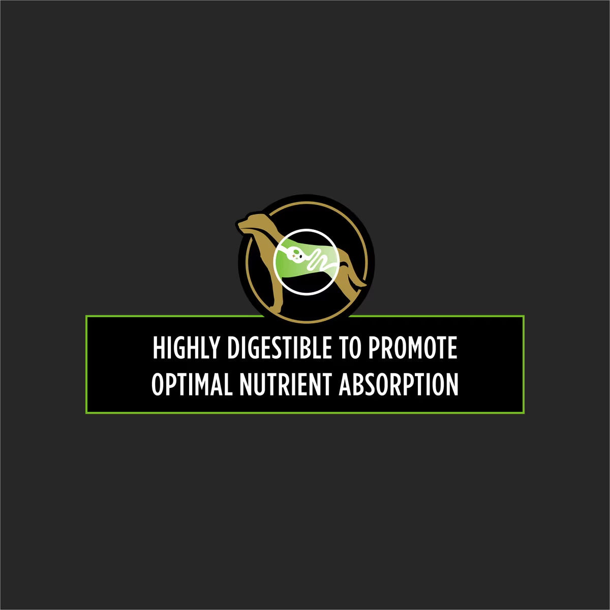 PPVD Canine HA - Hypoallergenic Veterinary Dog Food | 7 kg