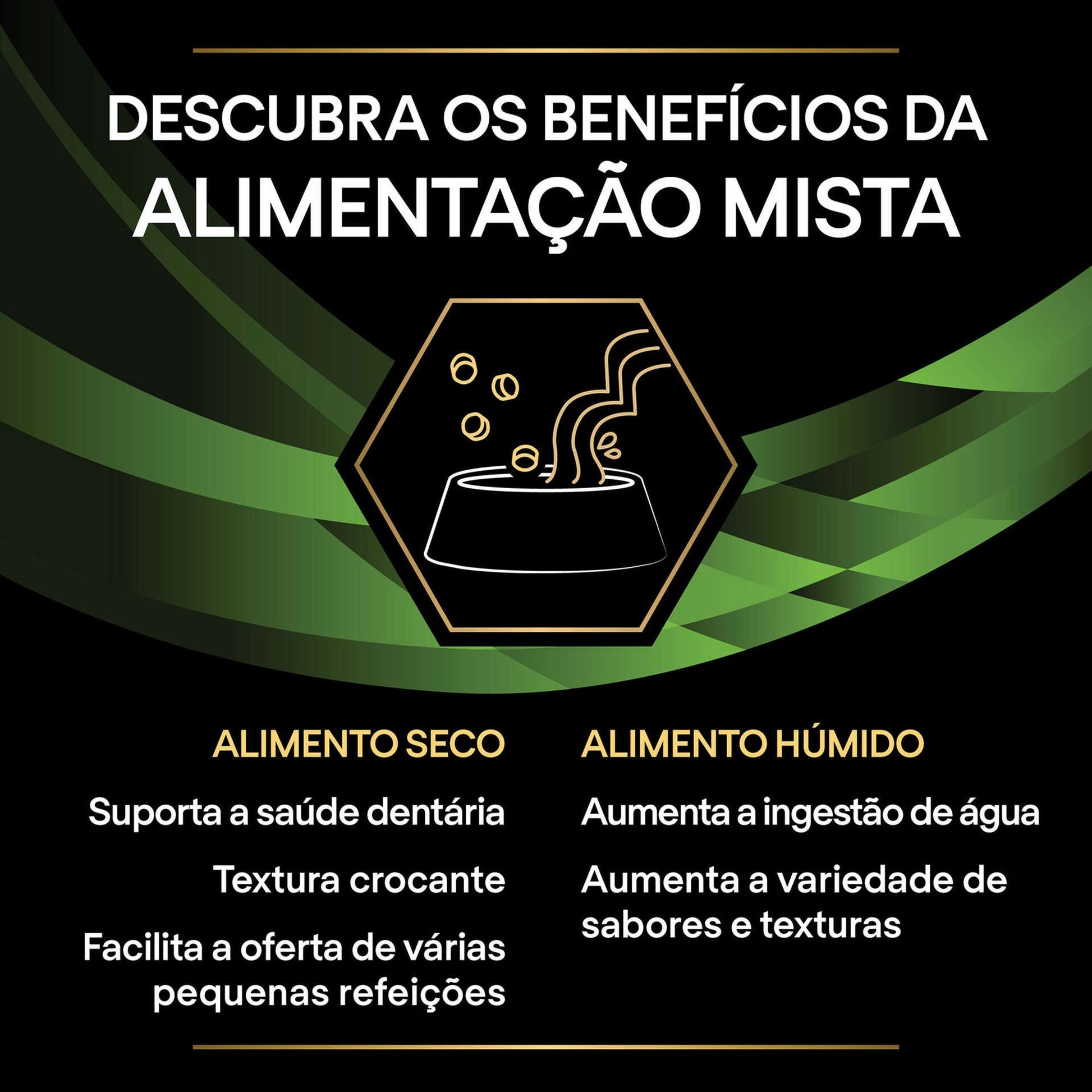 https://cdn.shopify.com/s/files/1/0916/7627/9129/files/33333.jpg?v=1762268976