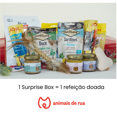 Surprise Box de Natal para Gato