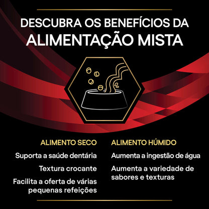 Alimento húmedo veterinario PPVD Feline DM St/Ox - Control de la diabetes | Lata | 195 g