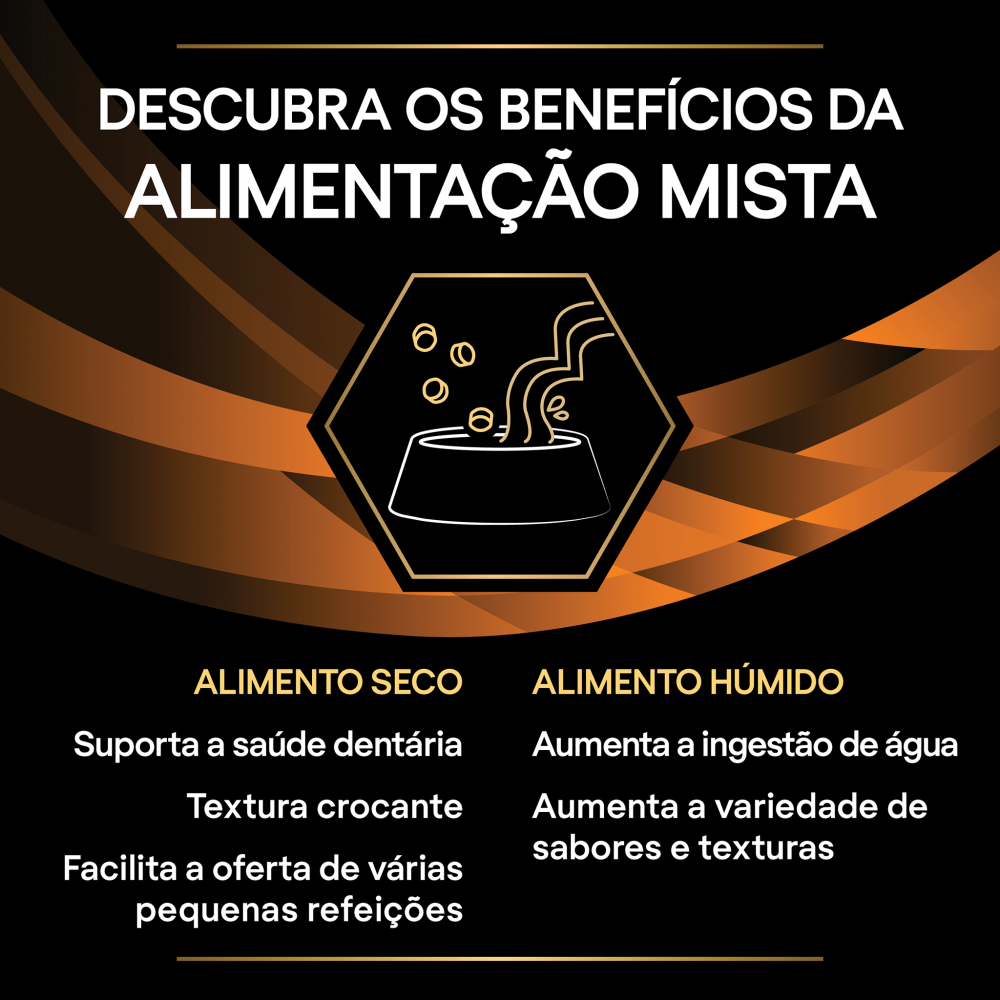 https://cdn.shopify.com/s/files/1/0916/7627/9129/files/3ooo.png?v=1762268074