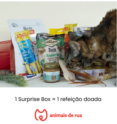 Surprise Box de Natal para Gato