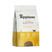 https://cdn.shopify.com/s/files/1/0916/7627/9129/files/4021.webp?v=1776975949