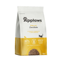 https://cdn.shopify.com/s/files/1/0916/7627/9129/files/4022.webp?v=1776975929