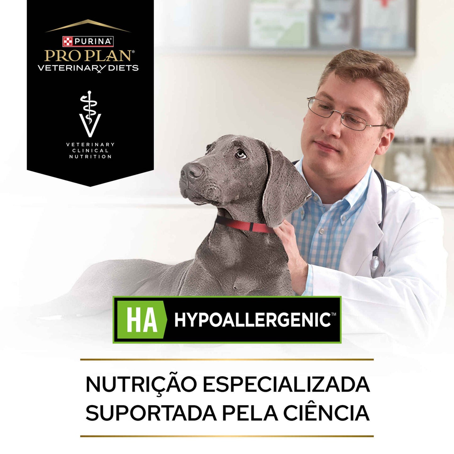 https://cdn.shopify.com/s/files/1/0916/7627/9129/files/44444.jpg?v=1762267360