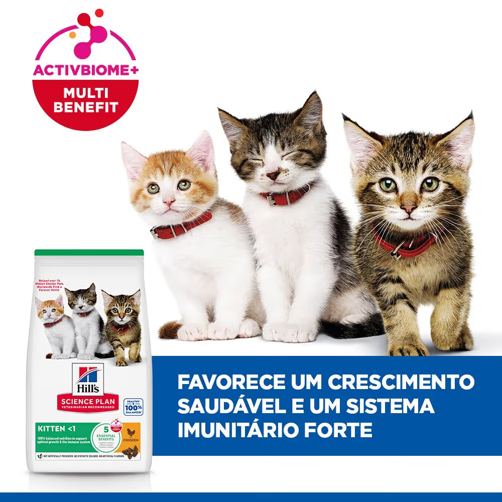 Hills Science Plan Gato Junior Pollo - Pienso seco para gato