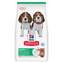 Hills Science Plan Cão Cachorro Médio Borrego e Arroz - Ração seca para cão