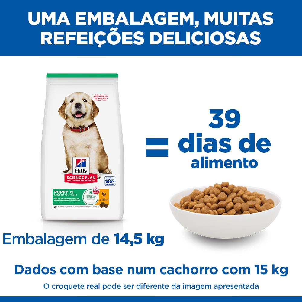 Hills Science Plan Cão Cachorro Raças Grandes Frango - Ração seca para cão