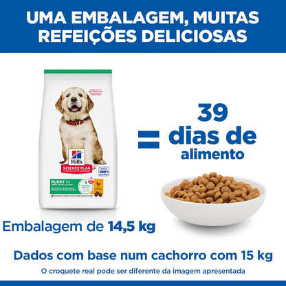 Hills Science Plan Cão Cachorro Raças Grandes Frango - Ração seca para cão