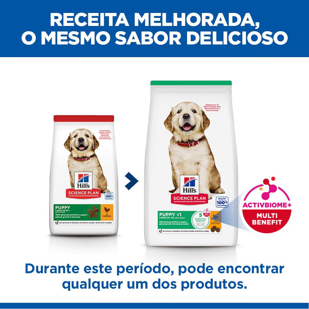 Hills Science Plan Cão Cachorro Raças Grandes Frango - Ração seca para cão
