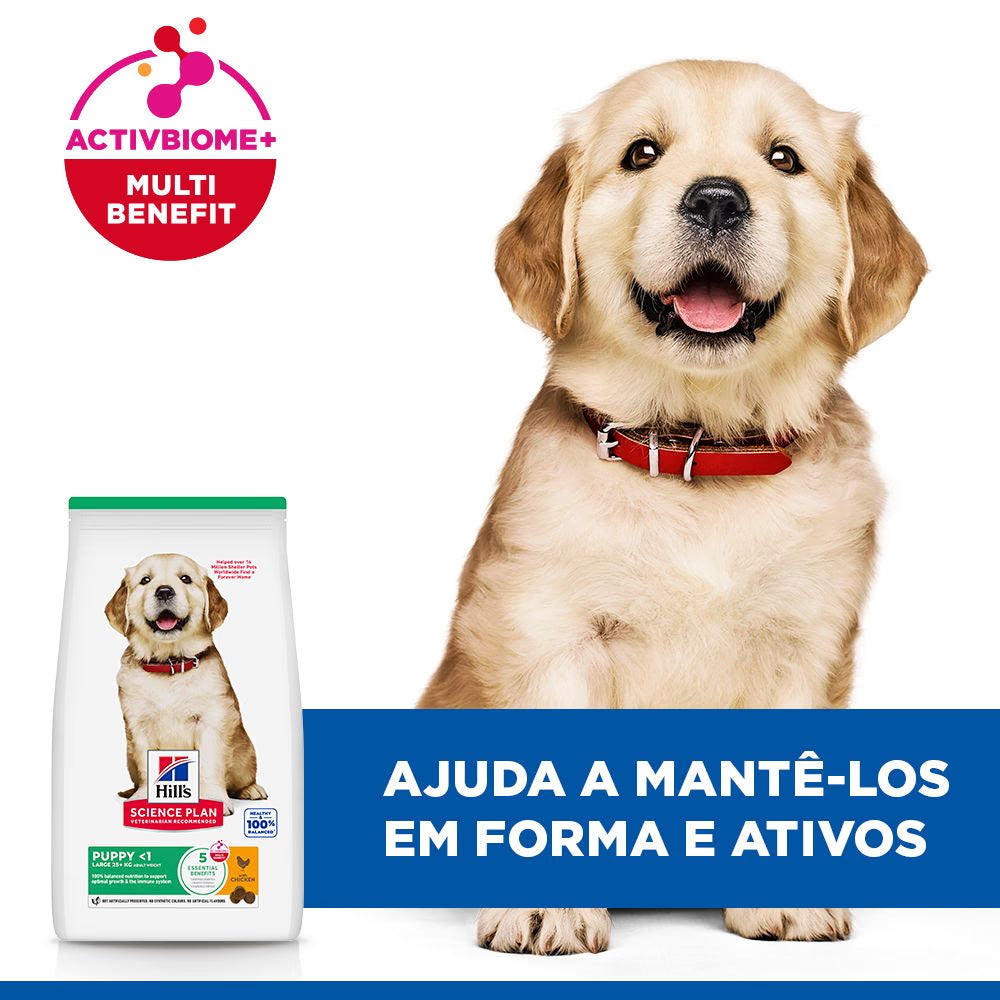 Hills Science Plan Cão Cachorro Raças Grandes Frango - Ração seca para cão