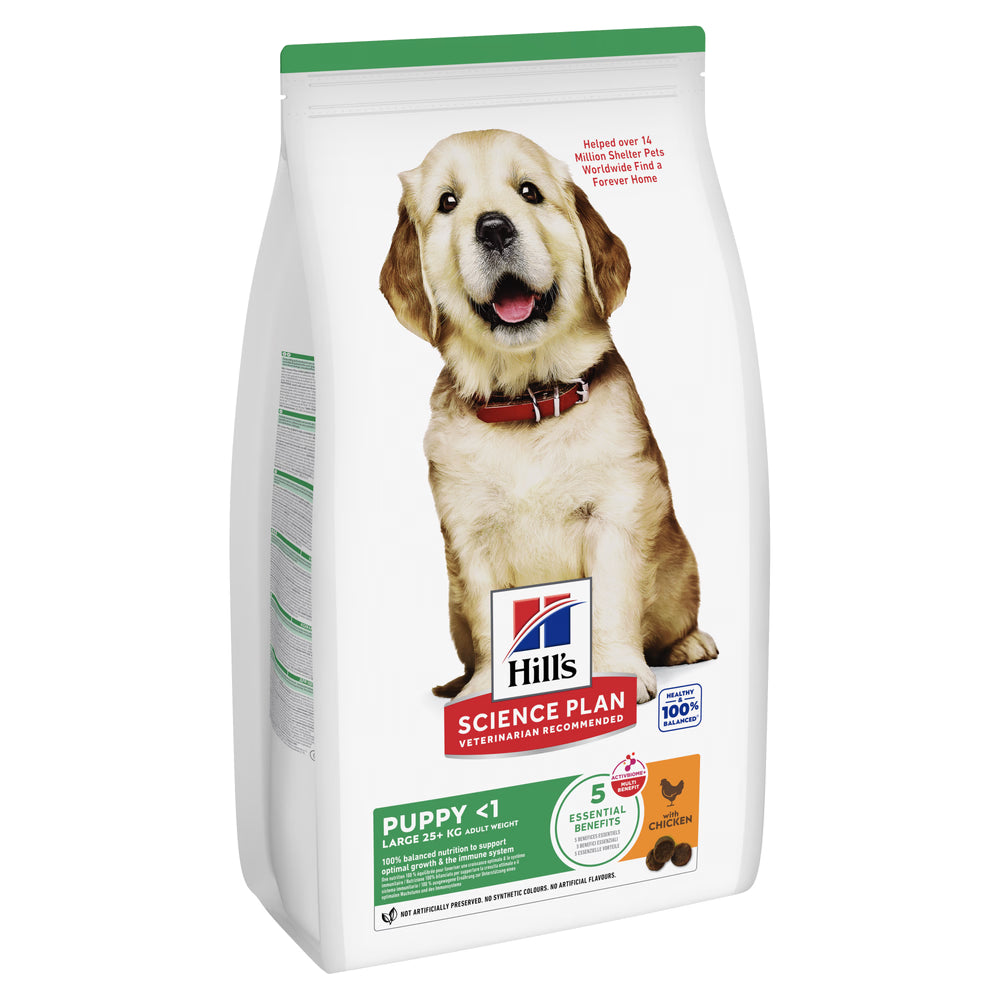 Hills Science Plan Cão Cachorro Raças Grandes Frango - Ração seca para cão
