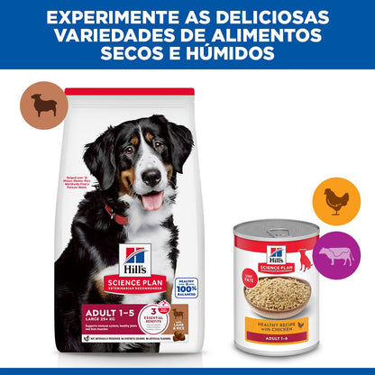 Hills Science Plan Adult Dog Large Breed Lamb and Rice - Dry dog food