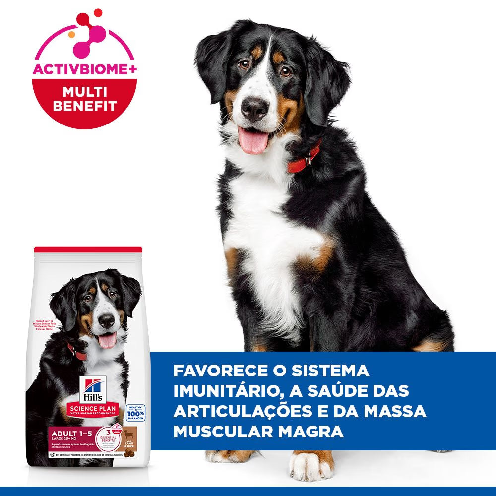 Hills Science Plan Adult Dog Large Breed Lamb and Rice - Dry dog food