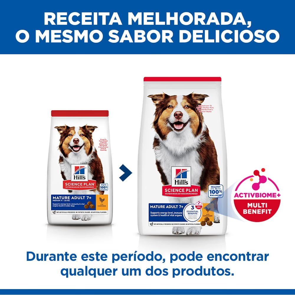 Hills Science Plan Medium Mature Adulto 7+ Cão Frango - Ração seca para cão