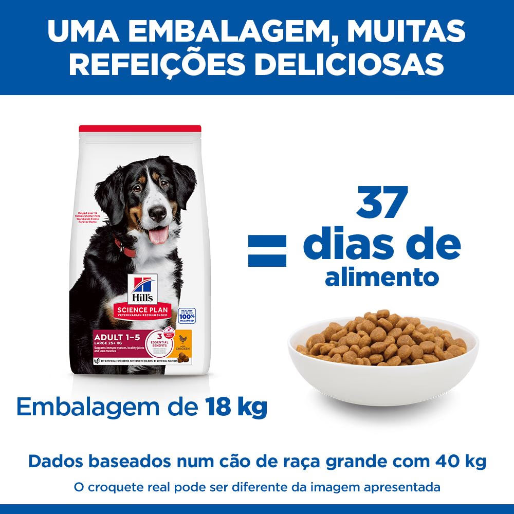 Hill's Adult Large - Pienso seco para perros de raza grande - Pollo