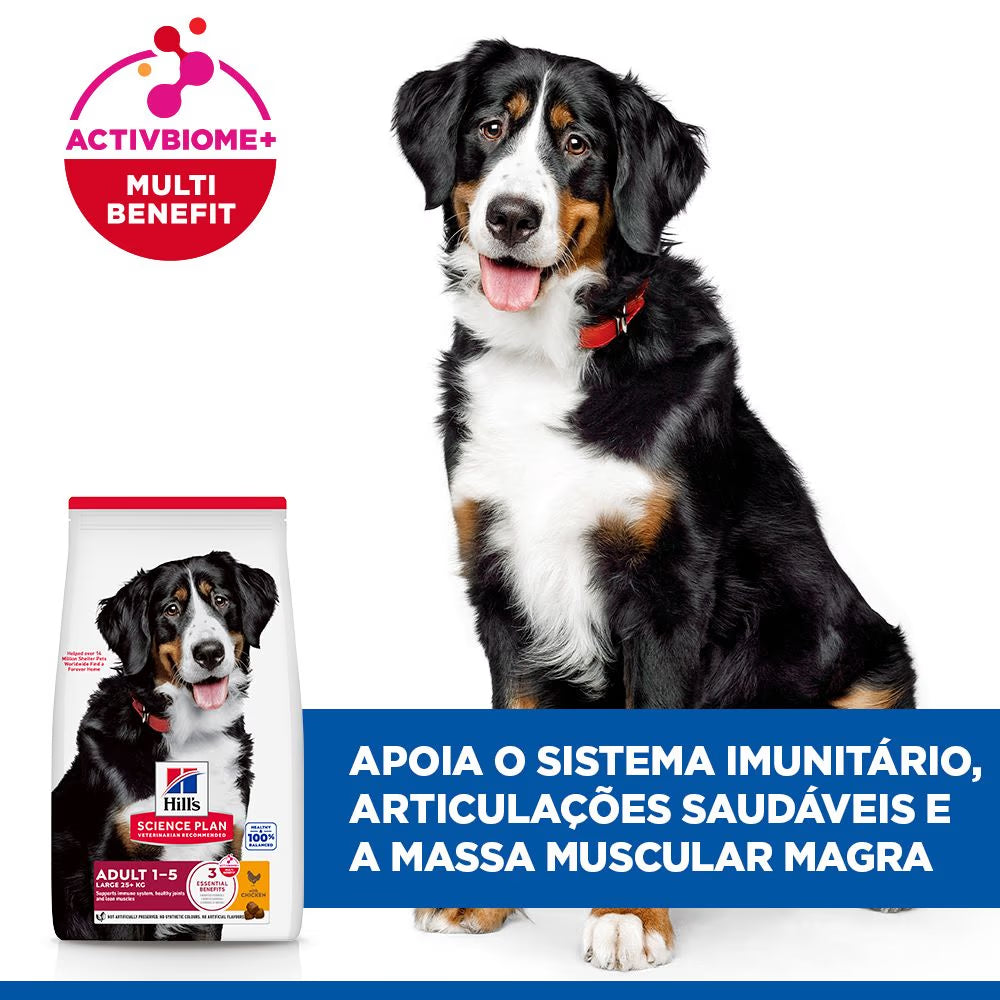 Hill's Adult Large - Pienso seco para perros de raza grande - Pollo