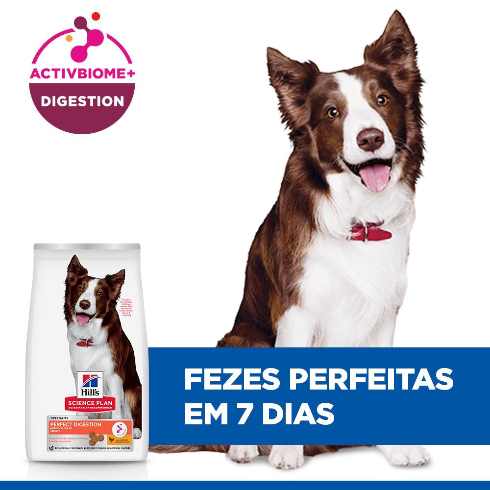 Hills Science Plan Dog Perfect Digestion Medium Adulto with Chicken - Ração seca para cão com frango