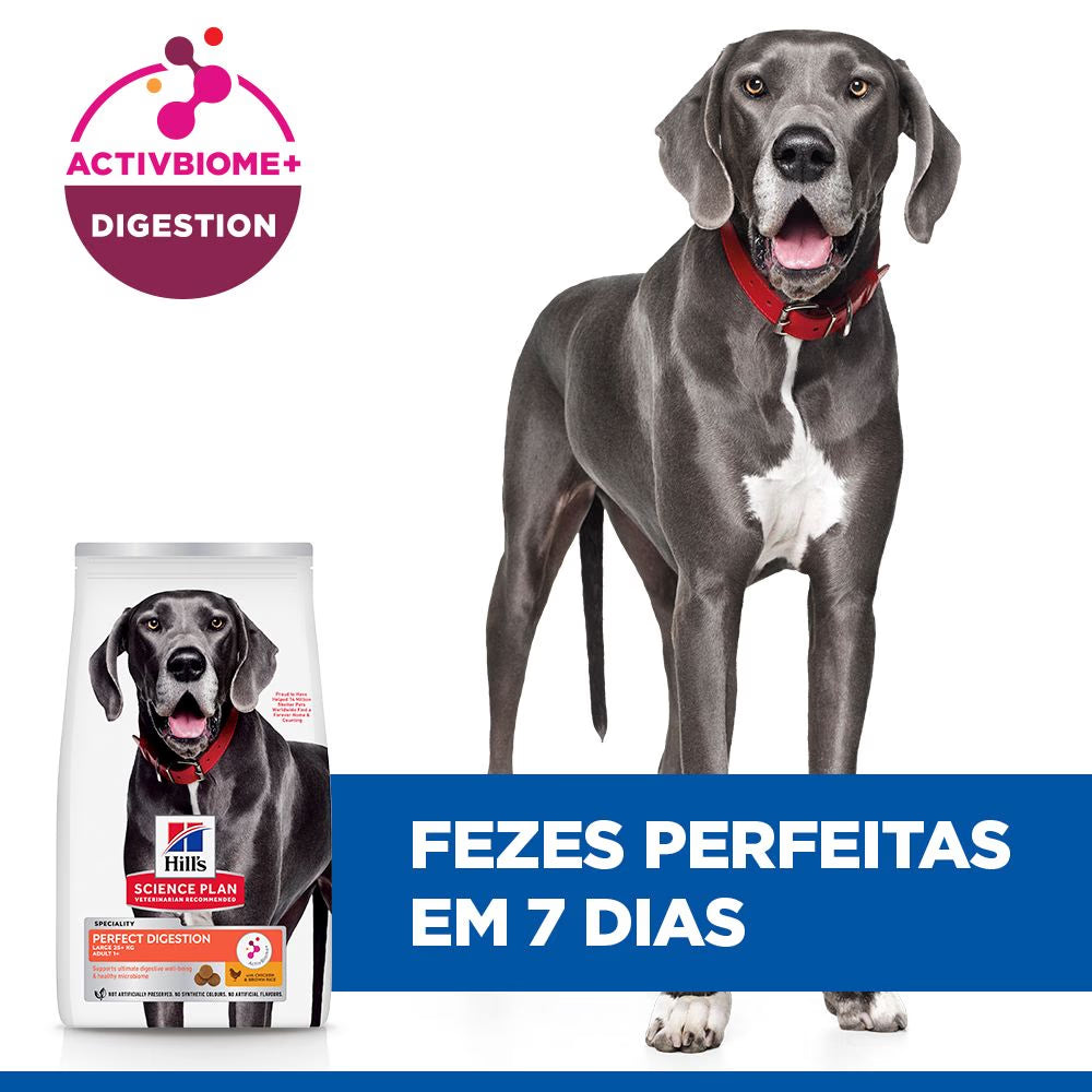 Hill's Perfect Digestion Large - Pienso seco para perro adulto de raza grande - Pollo y arroz