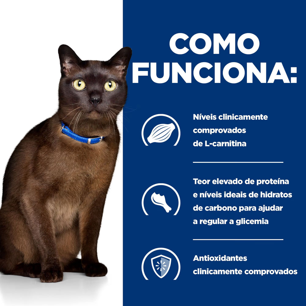 Hill's PD Diabetes Care - Pienso seco para gatos con diabetes
