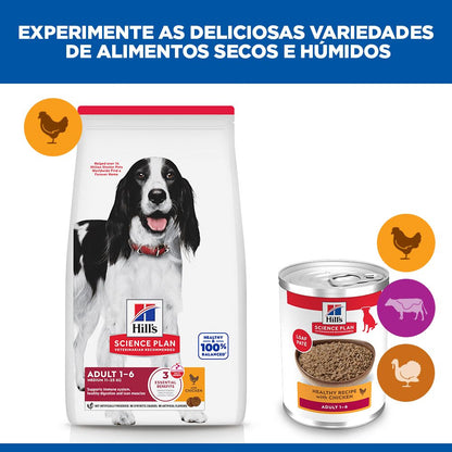 Hills Science Plan Perro Adulto Pollo - Comida húmeda para perro