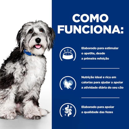 Hills PD ON-Care Cão Adulto Frango - Ração seca para cão em convalescença