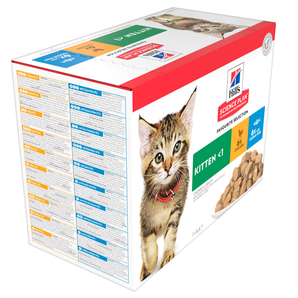 Hills Science Plan Gato Gatito Pollo y Pescado del Océano - Comida húmeda para gato en crecimiento