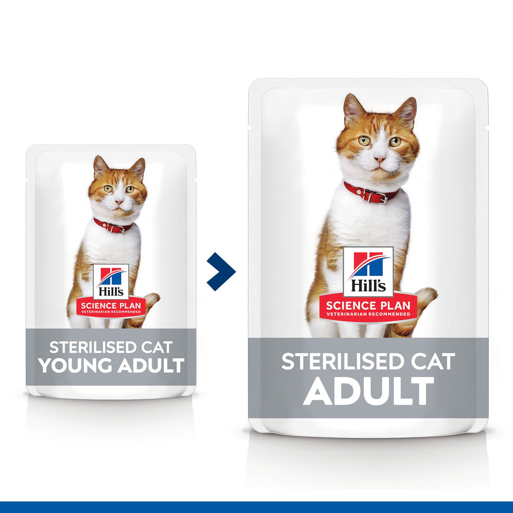 Hills Science Plan Gato Joven Adulto Pollo, Salmón, Atún y Pavo - Comida húmeda para gato para control de peso y salud urinaria