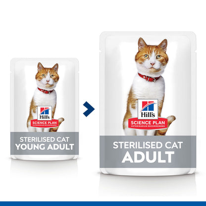 Hills Science Plan Gato Joven Adulto Pollo, Salmón, Atún y Pavo - Comida húmeda para gato para control de peso y salud urinaria