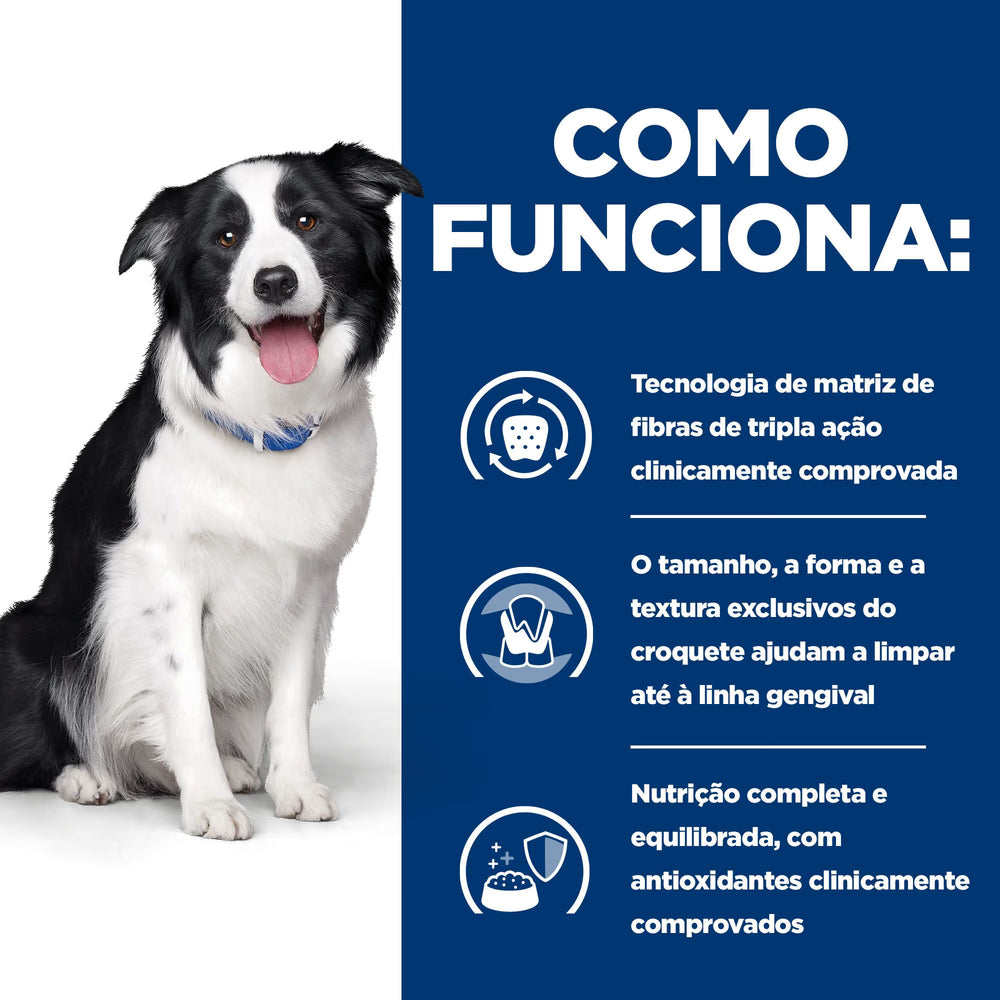 Hill's PD Dental Care t/d - Ração seca para cão para cuidado dentário