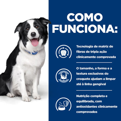 Hill's PD Dental Care t/d - Ração seca para cão para cuidado dentário