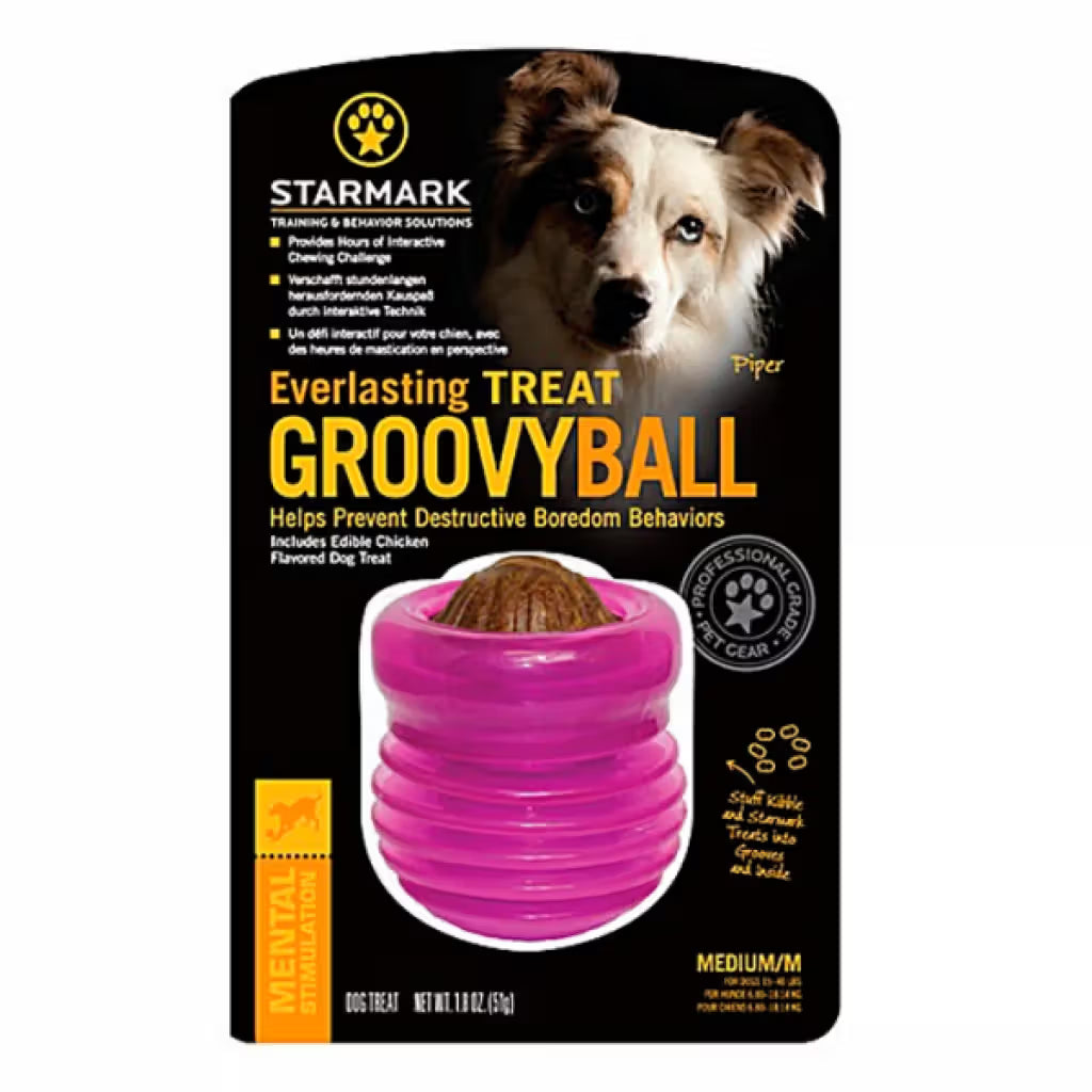 Starmark Everlasting Groovy Ball - Brinquedo para cão